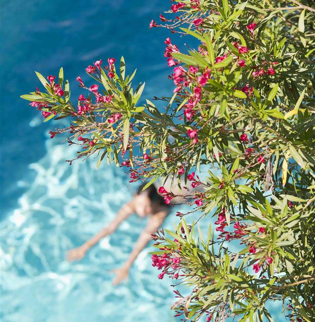 Take a swim in the pool of the Val Duchesse Hotel